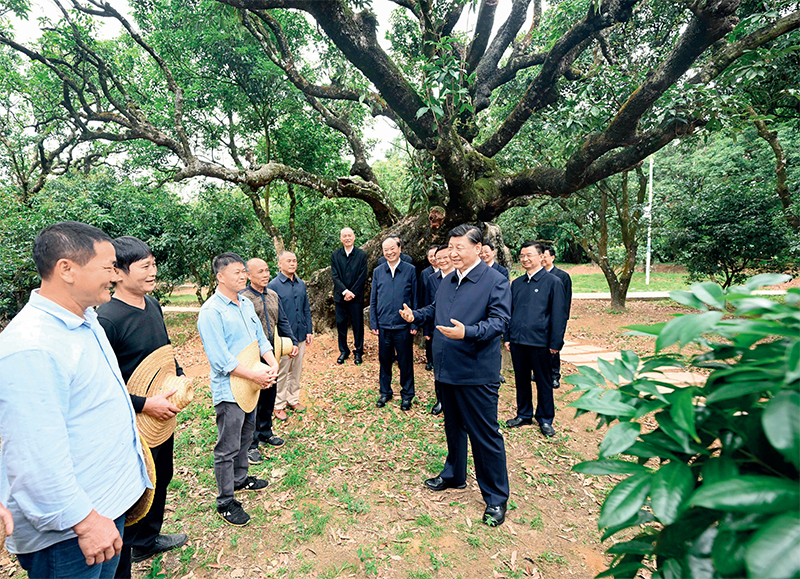 2023年4月10日至13日，中共中央總書記、國家主席、中央軍委主席習(xí)近平在廣東考察。這是11日下午，習(xí)近平在茂名高州市根子鎮(zhèn)柏橋村荔枝種植園，同現(xiàn)場技術(shù)人員親切交流。