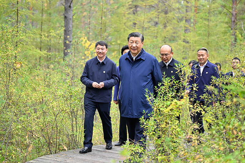 9月6日至8日，中共中央總書記、國(guó)家主席、中央軍委主席習(xí)近平在黑龍江考察。這是6日下午，習(xí)近平在大興安嶺地區(qū)漠河市漠河林場(chǎng)自然林區(qū)考察